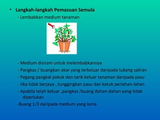 • Langkah-langkah Pemasuan Semula
   - Lembabkan medium tanaman




  - Medium disiram untuk melembabkannya
  - Pangkas / buangkan akar yang terkeluar daripada lubang saliran
  - Pegang pangkal pokok dan tarik keluar tanaman daripada pasu
  - Jika tidak berjaya , tunggingkan pasu dan ketuk perlahan-lahan
  - Apabila telah keluar ,pangkas /buang dahan-dahan yang tidak
      diperlukan
  -Buang 1/3 daripada medium yang lama
 