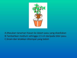 A.Masukan tanaman hiasan ke dalam pasu yang disediakan
B.Tambahkan medium sehingga 2.5 cm daripada bibir pasu.
C.Siram dan letakkan ditempat yang teduh
 