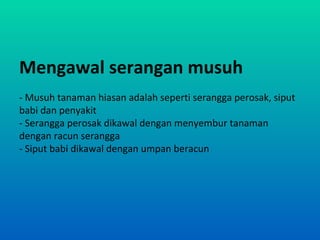 Mengawal serangan musuh
- Musuh tanaman hiasan adalah seperti serangga perosak, siput
babi dan penyakit
- Serangga perosak dikawal dengan menyembur tanaman
dengan racun serangga
- Siput babi dikawal dengan umpan beracun
 