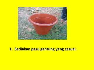 1. Sediakan pasu gantung yang sesuai.
 