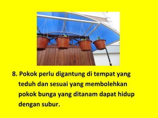 8. Pokok perlu digantung di tempat yang
   teduh dan sesuai yang membolehkan
   pokok bunga yang ditanam dapat hidup
   dengan subur.
 