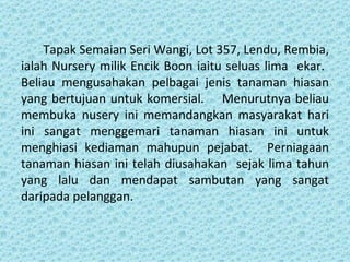 Tapak Semaian Seri Wangi, Lot 357, Lendu, Rembia,
ialah Nursery milik Encik Boon iaitu seluas lima ekar.
Beliau mengusahakan pelbagai jenis tanaman hiasan
yang bertujuan untuk komersial. Menurutnya beliau
membuka nusery ini memandangkan masyarakat hari
ini sangat menggemari tanaman hiasan ini untuk
menghiasi kediaman mahupun pejabat. Perniagaan
tanaman hiasan ini telah diusahakan sejak lima tahun
yang lalu dan mendapat sambutan yang sangat
daripada pelanggan.
 