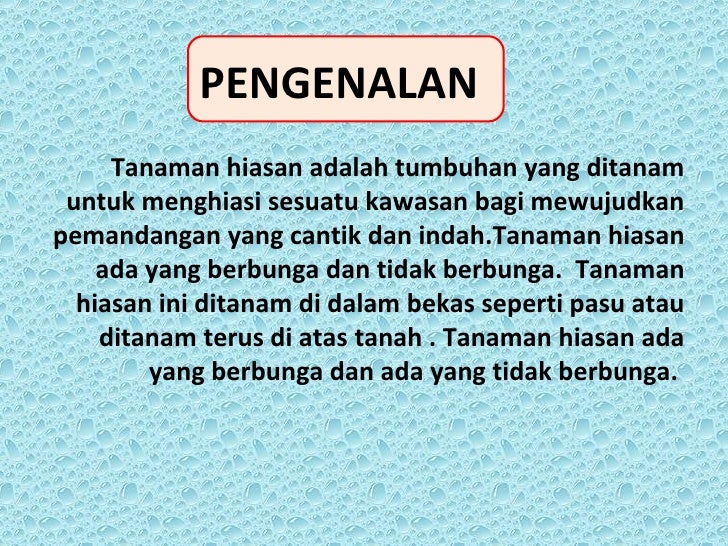 Projek Tanaman Hiasan