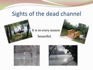 Sights of the dead channel

       It is in every season
           beautiful.
 