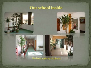 Our school inside




 We have a plenty of plants.
 