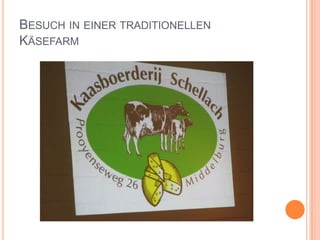 Besuch in einer traditionellen Käsefarm