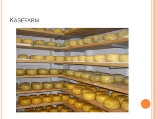 Käsefarm