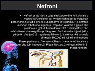 Nefroni
• Nefroni eshte njesia baze strukturore dhe funksionale e
veshkaveFunksioni I saj kyresor eshte per te rregulluar
perqendrimin e ujit si dhe te substancave te tretshme. Një nefrone
eliminon mbeturinat nga trupi, rregullon volumin e gjakut dhe
presionin e gjakut, kontrollon nivelet e elektroliteve dhe
metaboliteve, dhe rregullon pH të gjakut. Funksionet e tij janë jetike
për jetën dhe janë të rregulluara.Në njerëzit, një veshkë normale
përmban 800.000 në 1.5 milionë nefrone
• Pjeset perberese: Glomerula(1lemsh me arterie(.Kapsula e
baumanit dhe tubi I nefronit,(1-Pjesa fillestare,2-Kthesat e Henlit 3-
Pjesa Fundore)
 