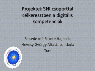 Projektek SNI csoporttal
célkeresztben a digitális
     kompetenciák


 Benedekné Fekete Hajnalka
Hevesy György Általános Iskola
            Tura
 