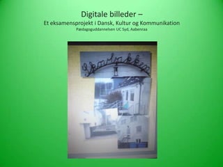 Digitale billeder –
Et eksamensprojekt i Dansk, Kultur og Kommunikation
            Pædagoguddannelsen UC Syd, Aabenraa
 