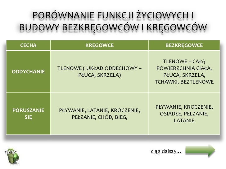 Porównanie Bezkręgowców I Kręgowców Tabela Projekt genesis cz.1 a1