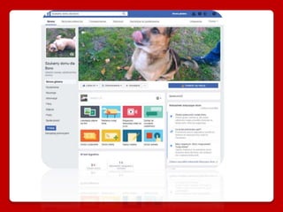 Na facebooku założyliśmy stronę "Szukamy domu dla
Bono", na której zachęcaliśmy ludzi do adopcji naszego
podopiecznego.
 