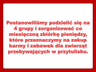Postanowiliśmy podzielić się na
4 grupy i zorganizować co
miesięczną zbiórkę pieniędzy,
które przeznaczymy na zakup
karmy i zabawek dla zwierząt
przebywających w przytulisku.
 