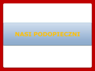 NASI PODOPIECZNI
 