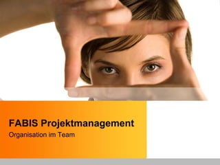 FABIS Projektmanagement
Organisation im Team
 