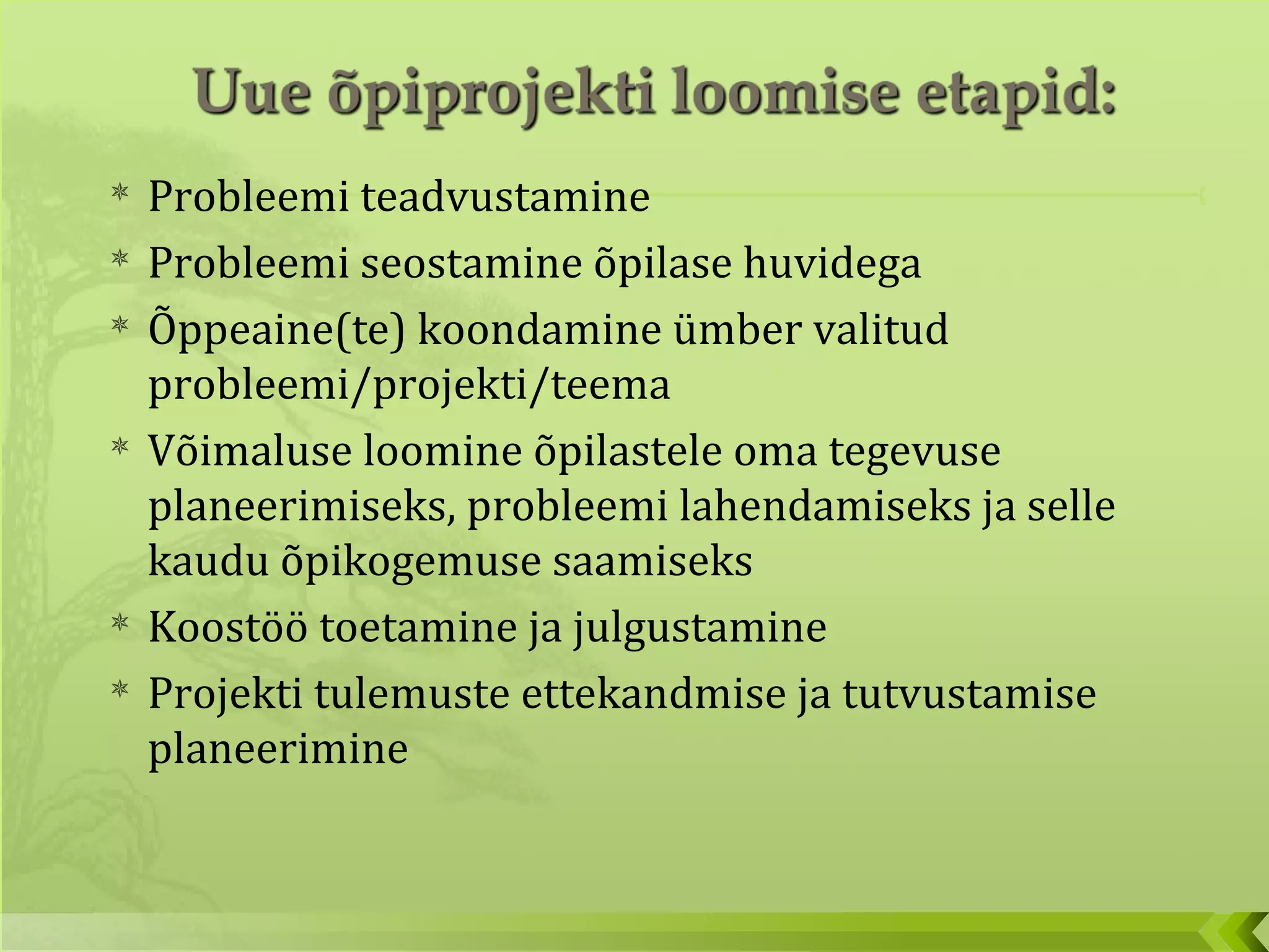 Probleemi teadvustamine Probleemi seostamine õpilase huvidega  Õppeaine(te) koondamine ümber valitud probleemi/projekti/teema Võimaluse loomine õpilastele oma tegevuse planeerimiseks, probleemi lahendamiseks ja selle kaudu õpikogemuse saamiseks Koostöö toetamine ja julgustamine Projekti tulemuste ettekandmise ja tutvustamise planeerimine 