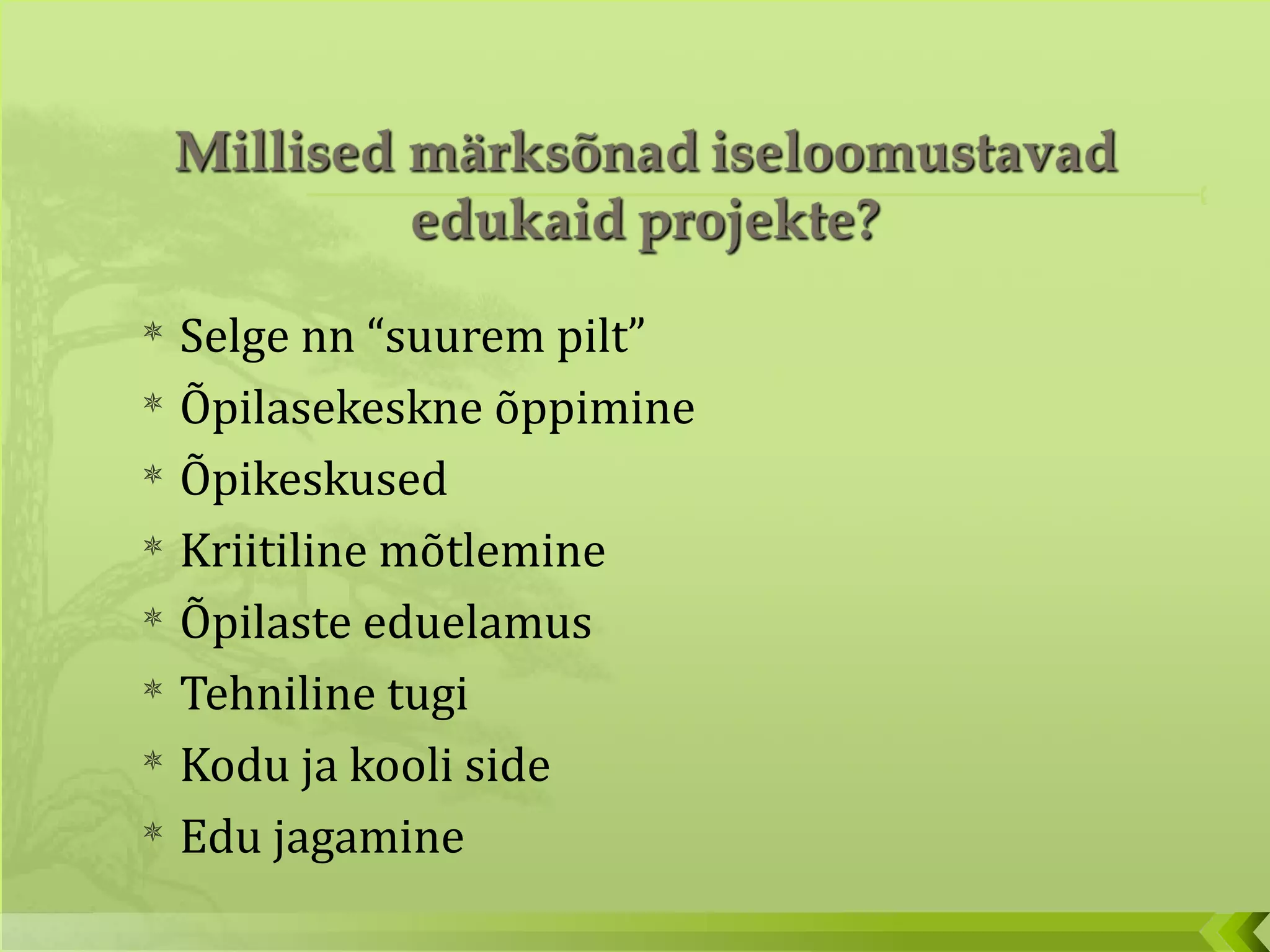 Selge nn “suurem pilt” Õpilasekeskne õppimine Õpikeskused Kriitiline mõtlemine Õpilaste eduelamus Tehniline tugi Kodu ja kooli side Edu jagamine 
