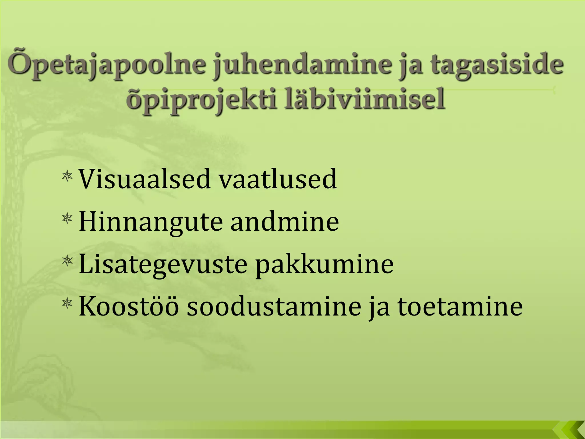 Visuaalsed vaatlused Hinnangute andmine Lisategevuste pakkumine Koostöö soodustamine ja toetamine 