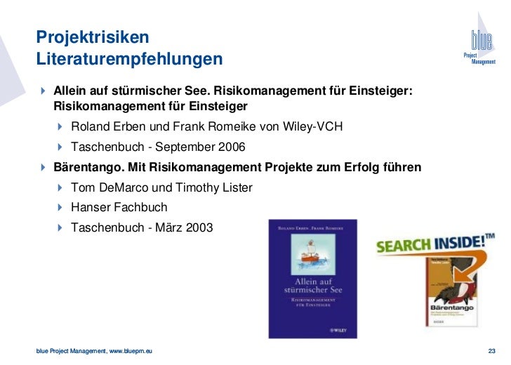 Projektrisiken Blue Pm Eu Mai11 V1 0