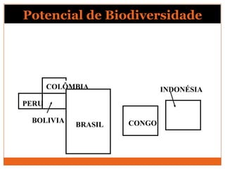 Potencial de Biodiversidade




       COLÔMBIA              INDONÉSIA
PERU

 BOLIVIA             CONGO
            BRASIL
 
