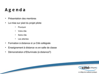 Agenda Présentation des membres  La mise sur pied du projet pilote Pourquoi Votre rôle Notre rôle Les attentes Formation à distance à La Cité collégiale Enseignement à distance vs en salle de classe Démonstration d’Elluminate (à distance?) 