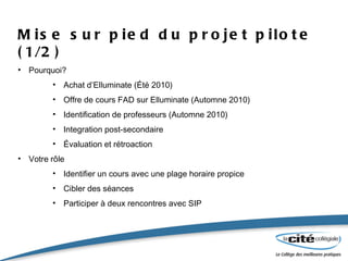 Mise sur pied du projet pilote (1/2) Pourquoi? Achat d’Elluminate (Été 2010) Offre de cours FAD sur Elluminate (Automne 2010) Identification de professeurs (Automne 2010) Integration post-secondaire Évaluation et rétroaction Votre rôle Identifier un cours avec une plage horaire propice Cibler des séances  Participer à deux rencontres avec SIP 
