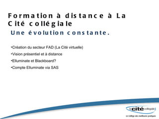 Formation à distance à La Cité collégiale Une évolution constante. Création du secteur FAD (La Cité virtuelle) Vision présentiel et à distance Elluminate et Blackboard? Compte Elluminate via SAS 