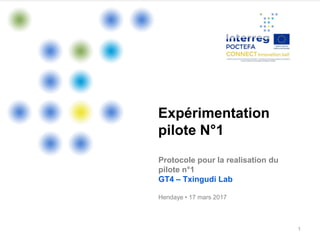 1
Expérimentation
pilote N°1
Protocole pour la realisation du
pilote n°1
GT4 – Txingudi Lab
Hendaye • 17 mars 2017
 