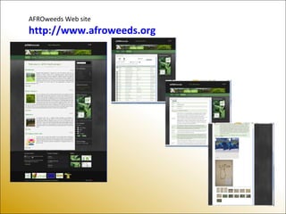 AFROweeds Web site
http://www.afroweeds.org
 