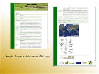Example of a species information HTML page
 
