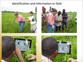 Identification and information or field
 
