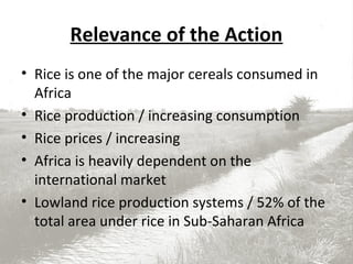 Relevance of the Action
• Rice is one of the major cereals consumed in
Africa
• Rice production / increasing consumption
• Rice prices / increasing
• Africa is heavily dependent on the
international market
• Lowland rice production systems / 52% of the
total area under rice in Sub-Saharan Africa
 