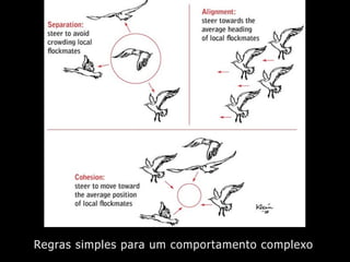 Regras simples para um comportamento complexo
 