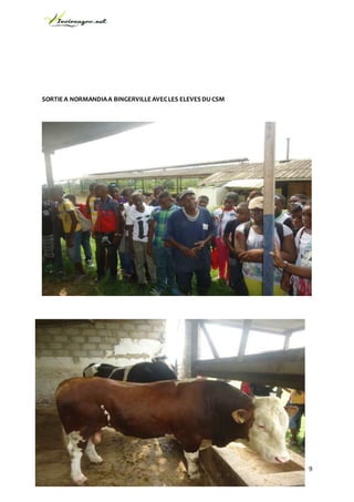 Ivoireagro.net
Cocody ST Jean Val-Doyen 2 immeuble charlemagne appart 10.
Téléphone : 07 02 00 37 /47 81 47 10/ 58 08 42 71.
9
SORTIEA NORMANDIAA BINGERVILLEAVECLES ELEVESDUCSM
 