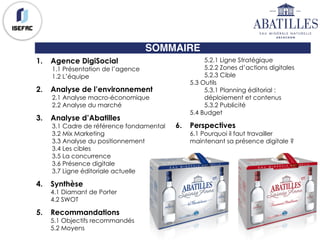 SOMMAIRE
1. Agence DigiSocial
1.1 Présentation de l’agence
1.2 L’équipe
2. Analyse de l’environnement
2.1 Analyse macro-économique
2.2 Analyse du marché
3. Analyse d’Abatilles
3.1 Cadre de référence fondamental
3.2 Mix Marketing
3.3 Analyse du positionnement
3.4 Les cibles
3.5 La concurrence
3.6 Présence digitale
3.7 Ligne éditoriale actuelle
4. Synthèse
4.1 Diamant de Porter
4.2 SWOT
5. Recommandations
5.1 Objectifs recommandés
5.2 Moyens
5.2.1 Ligne Stratégique
5.2.2 Zones d’actions digitales
5.2.3 Cible
5.3 Outils
5.3.1 Planning éditorial :
déploiement et contenus
5.3.2 Publicité
5.4 Budget
6. Perspectives
6.1 Pourquoi il faut travailler
maintenant sa présence digitale ?
 