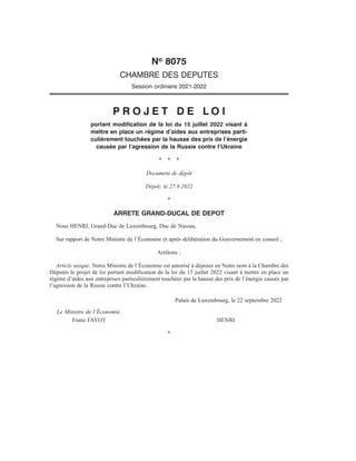 No 8075
CHAMBRE DES DEPUTES
Session ordinaire 2021-2022
P R O J E T D E L O I
portant modification de la loi du 15 juillet...