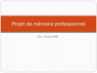 Projet de mémoire professionnel
Par : Amina DIB

 