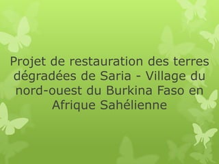 Projet de restauration des terres
dégradées de Saria - Village du
nord-ouest du Burkina Faso en
Afrique Sahélienne
 