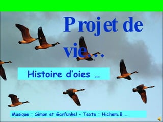 Musique : Simon et Garfunkel – Texte : Hichem.B … Histoire d’oies … Projet de vie… 