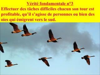 Vérité fondamentale n°3
Effectuer des tâches difficiles chacun son tour est
profitable, qu’il s’agisse de personnes ou bien des
oies qui émigrent vers le sud.
 