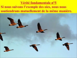 Vérité fondamentale n°5
Si nous suivons l’exemple des oies, nous nous
soutiendrons mutuellement de la même manière.
 