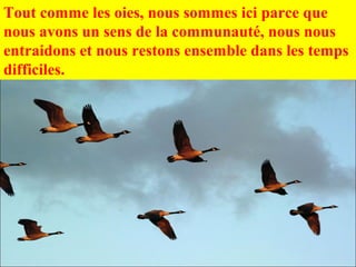 Tout comme les oies, nous sommes ici parce que
nous avons un sens de la communauté, nous nous
entraidons et nous restons ensemble dans les temps
difficiles.
 