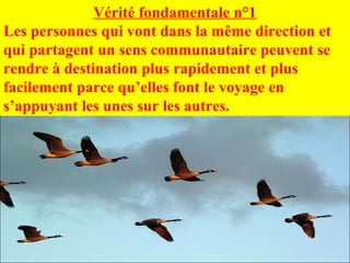Vérité fondamentale n°1
Les personnes qui vont dans la même direction et
qui partagent un sens communautaire peuvent se
rendre à destination plus rapidement et plus
facilement parce qu’elles font le voyage en
s’appuyant les unes sur les autres.
 