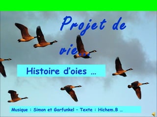 Musique : Simon et Garfunkel – Texte : Hichem.B …
Histoire d’oies …
Projet de
vie…
 