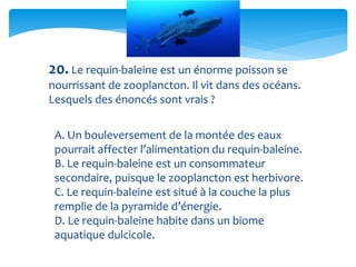 20. Le requin-baleine est un énorme poisson se
nourrissant de zooplancton. Il vit dans des océans.
Lesquels des énoncés sont vrais ?
A. Un bouleversement de la montée des eaux
pourrait affecter l’alimentation du requin-baleine.
B. Le requin-baleine est un consommateur
secondaire, puisque le zooplancton est herbivore.
C. Le requin-baleine est situé à la couche la plus
remplie de la pyramide d’énergie.
D. Le requin-baleine habite dans un biome
aquatique dulcicole.
 