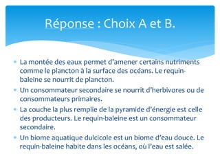 Réponse : Choix A et B.
 La montée des eaux permet d’amener certains nutriments
comme le plancton à la surface des océans. Le requin-
baleine se nourrit de plancton.
 Un consommateur secondaire se nourrit d’herbivores ou de
consommateurs primaires.
 La couche la plus remplie de la pyramide d’énergie est celle
des producteurs. Le requin-baleine est un consommateur
secondaire.
 Un biome aquatique dulcicole est un biome d’eau douce. Le
requin-baleine habite dans les océans, où l’eau est salée.
 