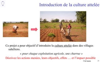 23
Introduction de la culture attelée
Ce projet a pour objectif d’introduire la culture attelée dans des villages
sahéliens.
« pour chaque exploitation agricole, une charrue »
Décrivez les actions menées, leurs objectifs, effets … et l’impact possible
Images source
 