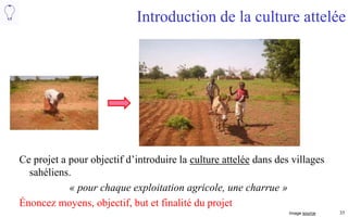 35
Introduction de la culture attelée
Pour vous, quels sont les moyens, l’objectif, le but et la finalité du projet ?
Images : source
 
