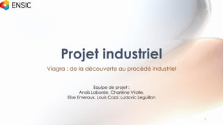 Projet industriel
Viagra : de la découverte au procédé industriel
Equipe de projet :
Anaïs Laborde, Charlène Virolle,
Elise Emeraux, Louis Cozzi, Ludovic Leguillon
1
 