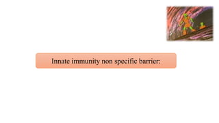 Innate immunity non specific barrier:
 
